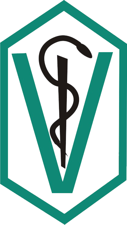 Acupuntura Veterinária RJ